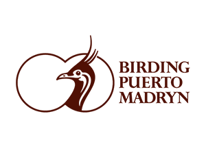 Birding Puerto Madryn