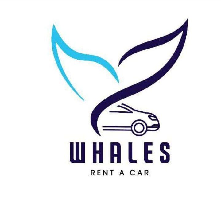 Whales Rent A Car